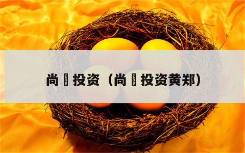 尚珹投资（尚珹投资黄郑）