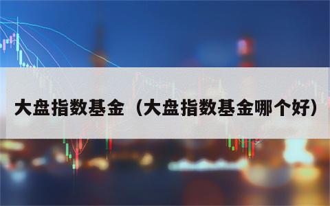 大盘指数基金（大盘指数基金哪个好）