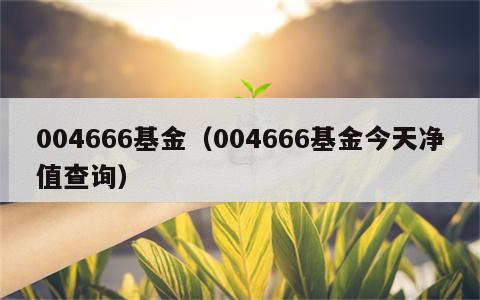004666基金（004666基金今天净值查询）