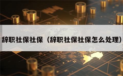 辞职社保社保（辞职社保社保怎么处理）