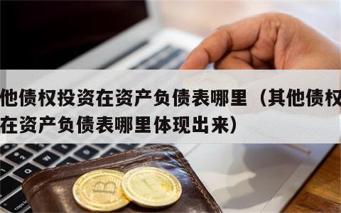 其他债权投资在资产负债表哪里（其他债权投资在资产负债表哪里体现出来）