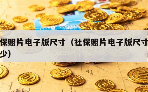 社保照片电子版尺寸（社保照片电子版尺寸是多少）