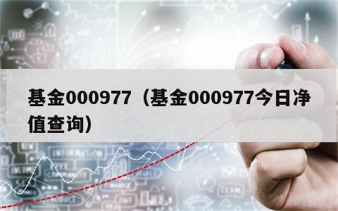 基金000977（基金000977今日净值查询）