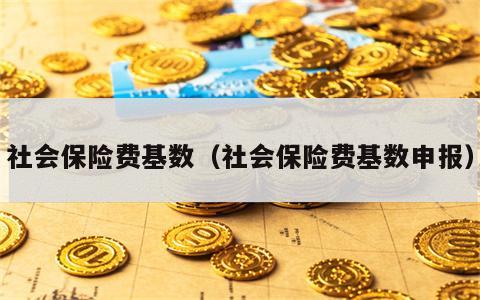 社会保险费基数（社会保险费基数申报）