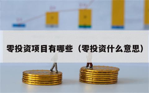 零投资项目有哪些（零投资什么意思）