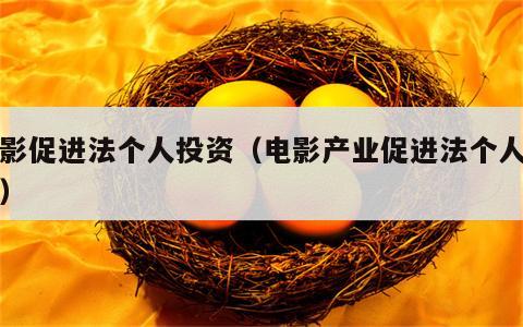 电影促进法个人投资（电影产业促进法个人投资）