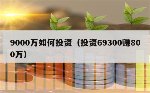 9000万如何投资（投资69300赚800万）
