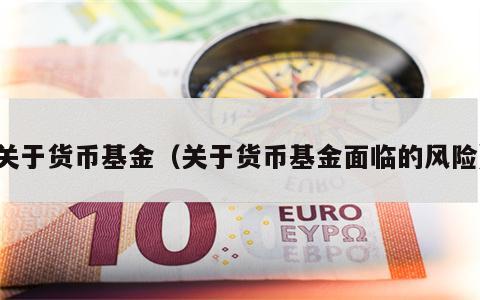 关于货币基金（关于货币基金面临的风险）