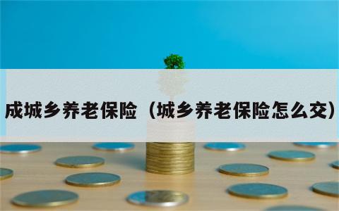 成城乡养老保险（城乡养老保险怎么交）