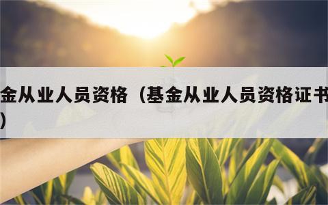 基金从业人员资格（基金从业人员资格证书查询）