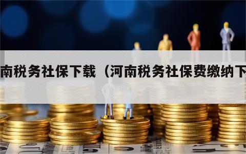 河南税务社保下载（河南税务社保费缴纳下载）