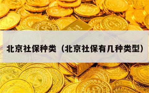 北京社保种类（北京社保有几种类型）