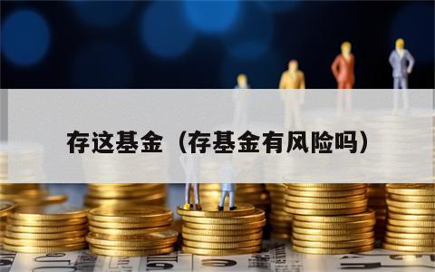 存这基金（存基金有风险吗）