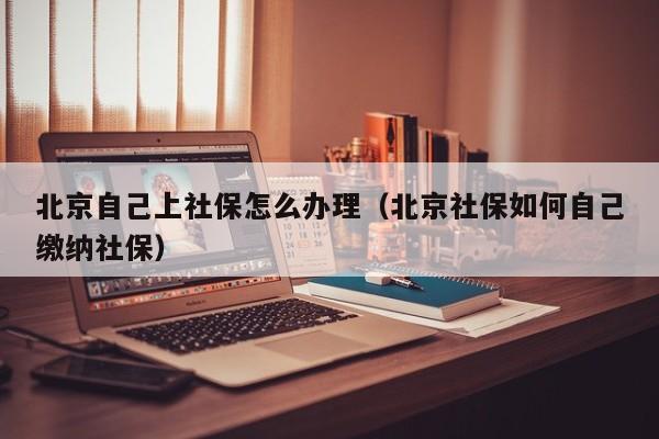 北京自己上社保怎么办理（北京社保如何自己缴纳社保）