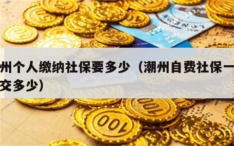 潮州个人缴纳社保要多少（潮州自费社保一年需交多少）