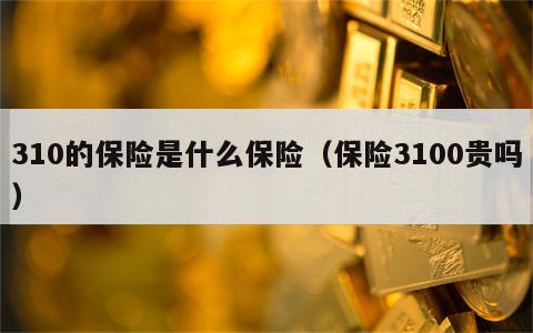 310的保险是什么保险（保险3100贵吗）