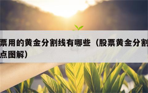股票用的黄金分割线有哪些（股票黄金分割线取点图解）