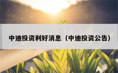 中迪投资利好消息（中迪投资公告）