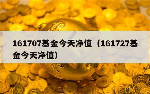 161707基金今天净值（161727基金今天净值）