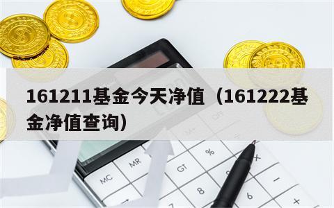 161211基金今天净值（161222基金净值查询）