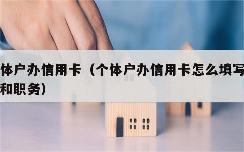 个体户办信用卡（个体户办信用卡怎么填写单位和职务）