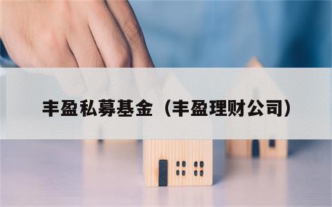 丰盈私募基金（丰盈理财公司）