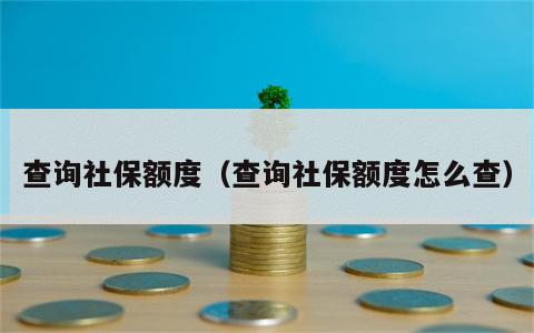 查询社保额度（查询社保额度怎么查）