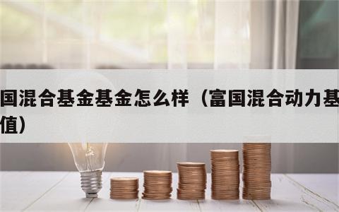 富国混合基金基金怎么样（富国混合动力基金净值）