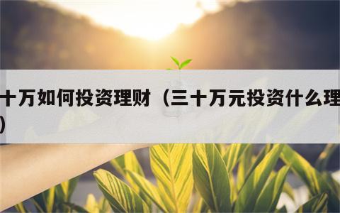 三十万如何投资理财（三十万元投资什么理财好）