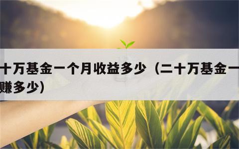 二十万基金一个月收益多少（二十万基金一年能赚多少）