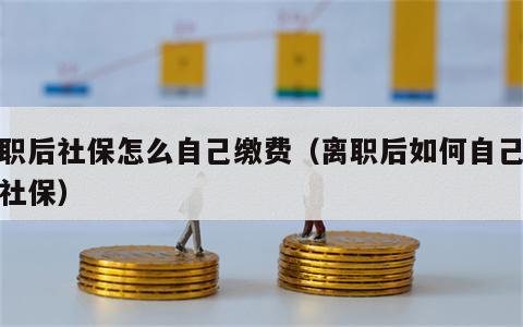 离职后社保怎么自己缴费（离职后如何自己缴纳社保）
