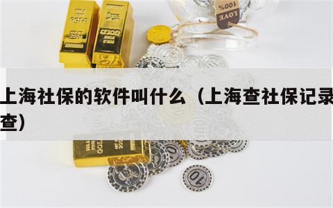 查上海社保的软件叫什么（上海查社保记录怎么查）