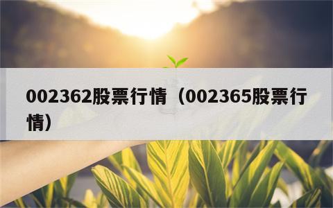 002362股票行情（002365股票行情）