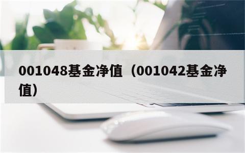 001048基金净值（001042基金净值）