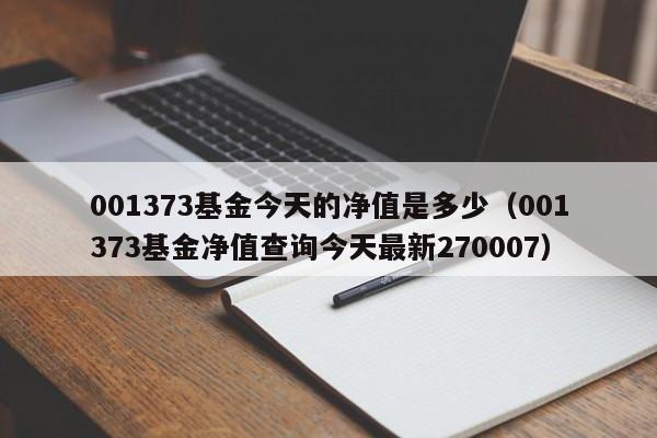 001373基金今天的净值是多少（001373基金净值查询今天最新270007）