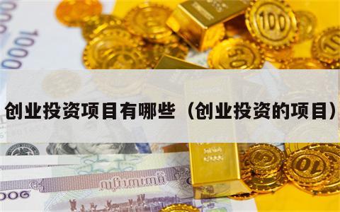 创业投资项目有哪些（创业投资的项目）