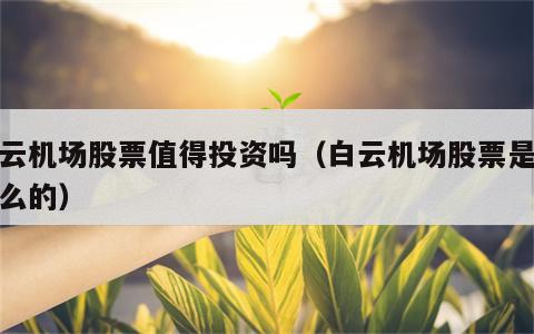白云机场股票值得投资吗（白云机场股票是做什么的）