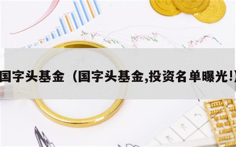 国字头基金（国字头基金,投资名单曝光!）