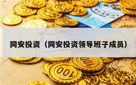 同安投资（同安投资领导班子成员）