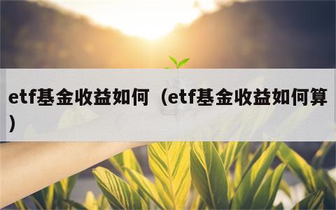 etf基金收益如何（etf基金收益如何算）