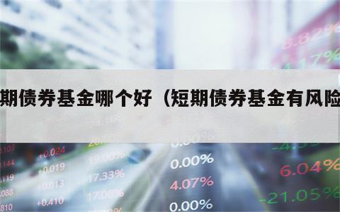 短期债券基金哪个好（短期债券基金有风险吗）