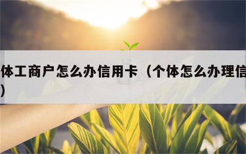 个体工商户怎么办信用卡（个体怎么办理信用卡）