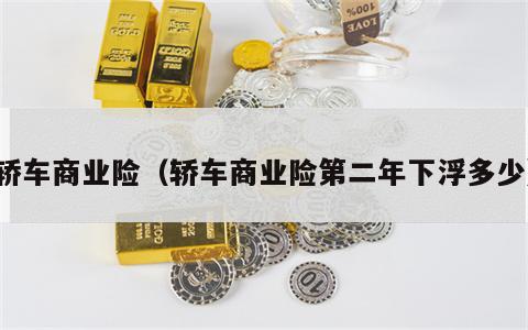 轿车商业险（轿车商业险第二年下浮多少）