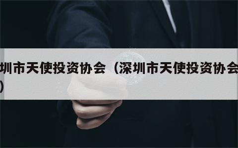 深圳市天使投资协会（深圳市天使投资协会地址）