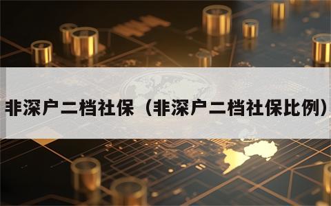 非深户二档社保（非深户二档社保比例）