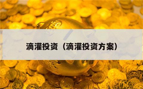 滴灌投资（滴灌投资方案）