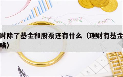 理财除了基金和股票还有什么（理财有基金还有啥）