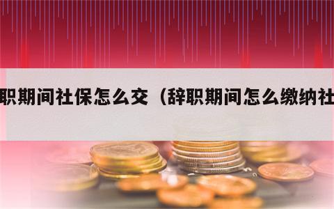 辞职期间社保怎么交（辞职期间怎么缴纳社保）