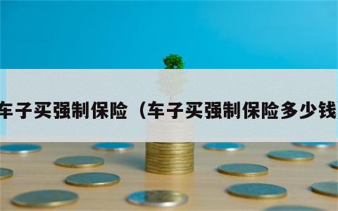 车子买强制保险（车子买强制保险多少钱）