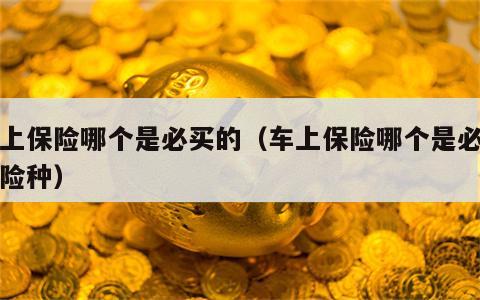 车上保险哪个是必买的（车上保险哪个是必买的险种）